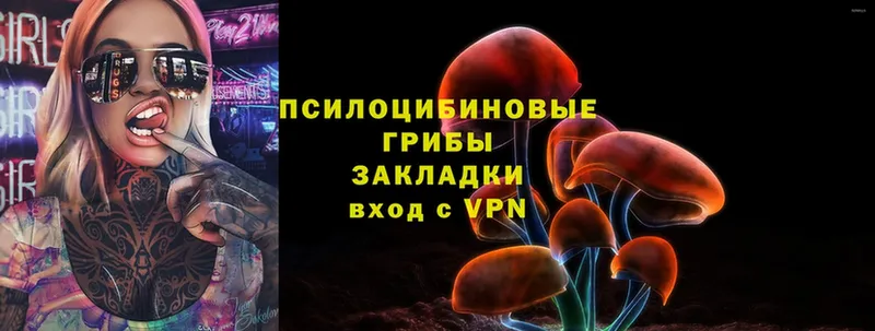 Псилоцибиновые грибы MAGIC MUSHROOMS  купить  цена  Медынь 